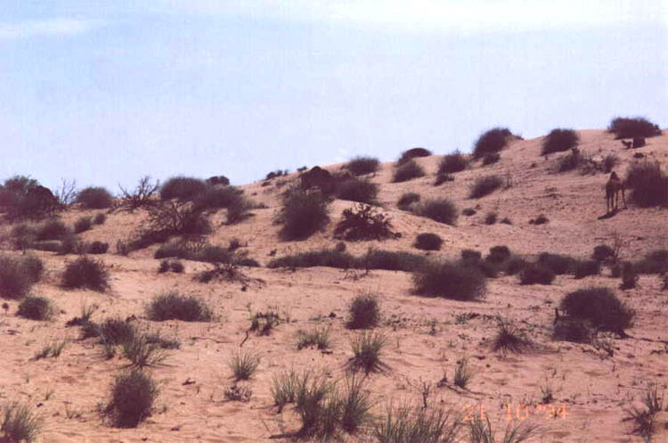 Photo of Fujairah