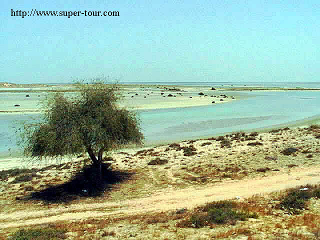 Photo of Umm Al Quwain