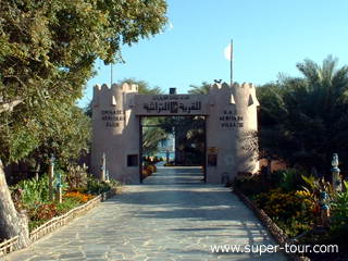Photo: 